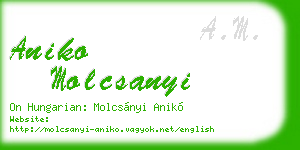 aniko molcsanyi business card